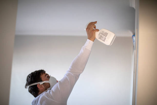 Professional Mold Removal in Bartonville, TX