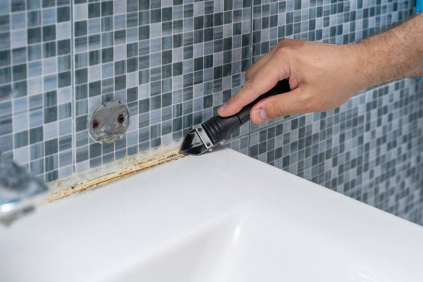 Best Mold Removal Process  in Bartonville, TX