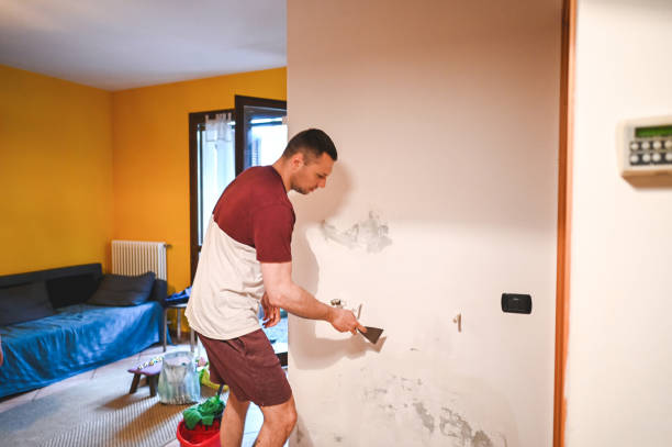 Best Office Mold Removal Services  in Bartonville, TX