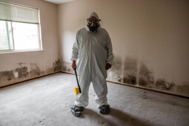 Best Mold Removal Company Near Me  in Bartonville, TX