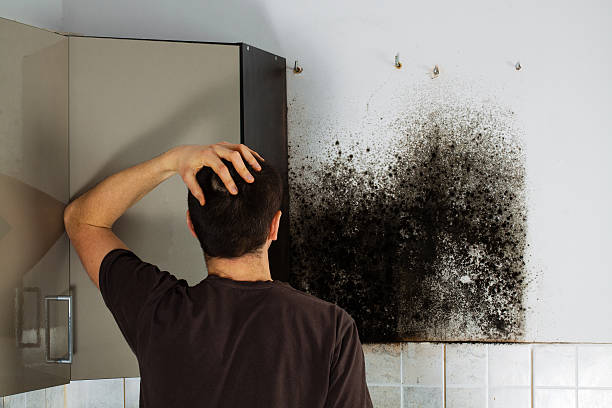 Best Best Mold Removal Companies  in Bartonville, TX
