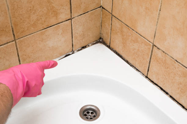 Best Affordable Mold Removal  in Bartonville, TX